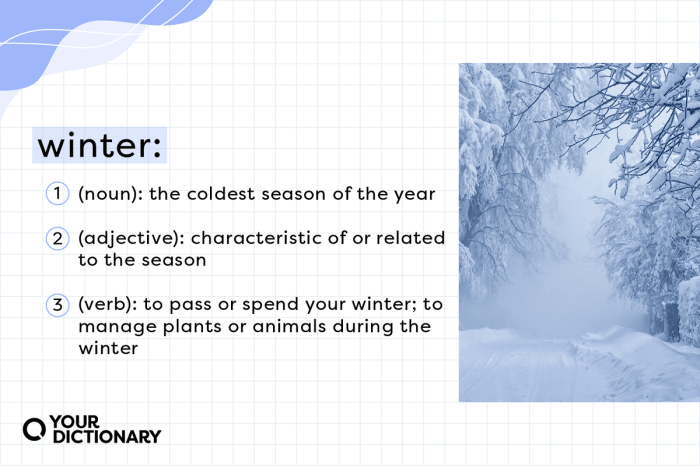 What Does “Winter” Mean? Defining the Coldest Season | YourDictionary What Does “Winter” Mean? Defining the Coldest Season | YourDictionary